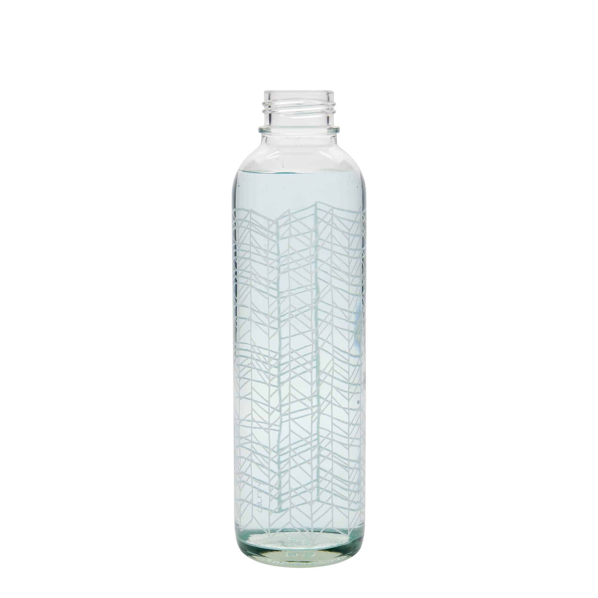 700 ml ūdens pudele CARRY Bottle, motīvs: Structure of Life, aizdare: skrūvējams vāciņš