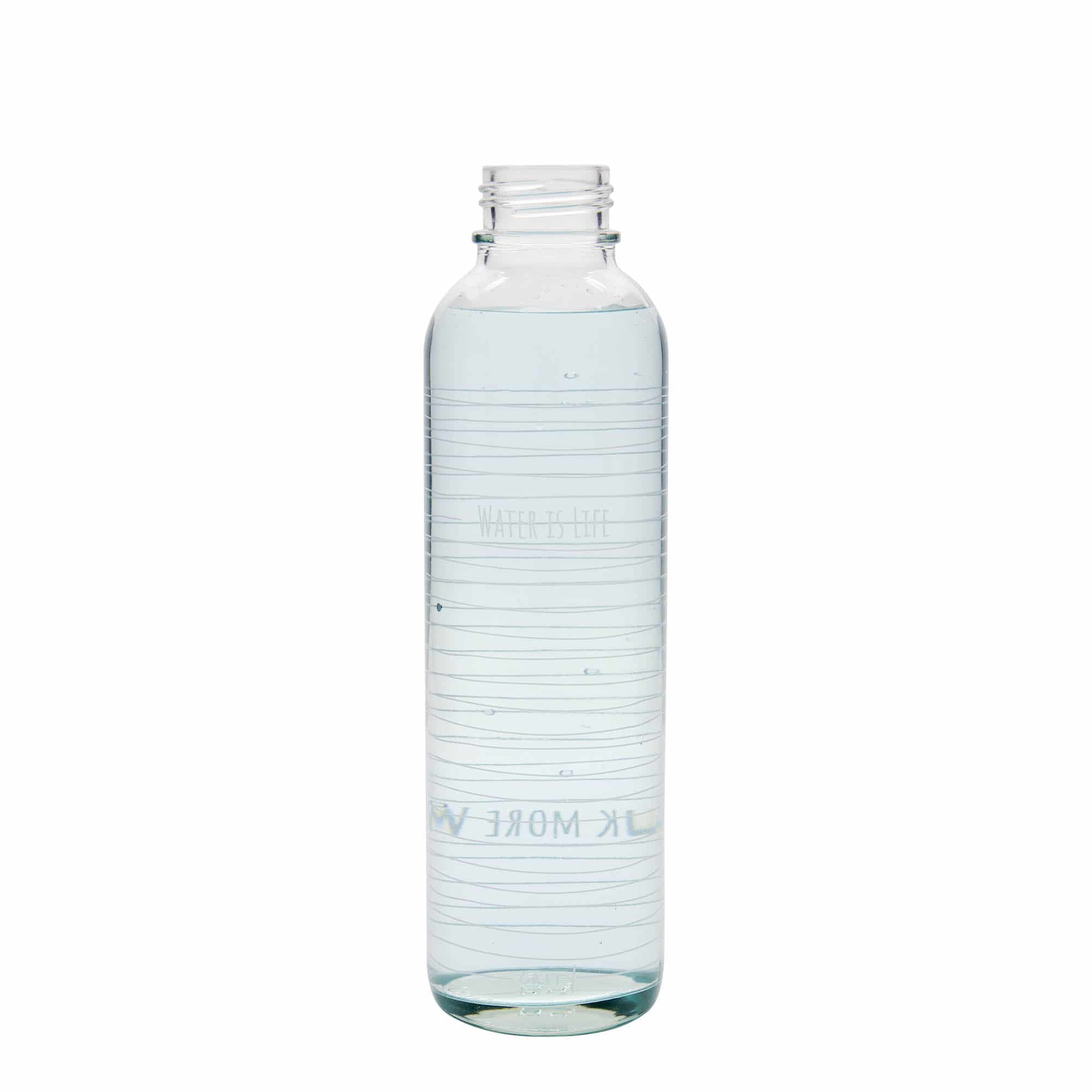 700 ml ūdens pudele CARRY Bottle, motīvs: Water is Life, aizdare: skrūvējams vāciņš